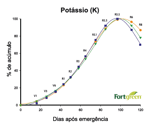 Lixiviação de nutrientes: por que o potássio possui o maior risco