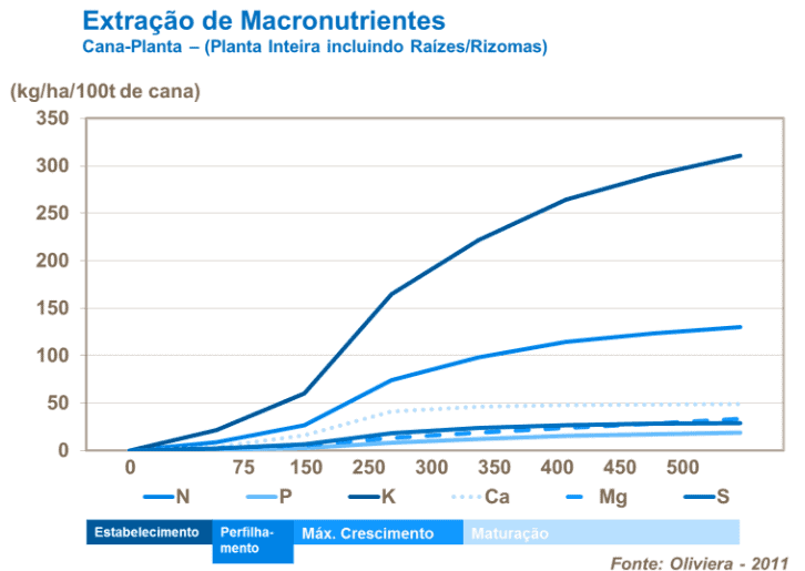 fosfatagem-cana-de-açúcar