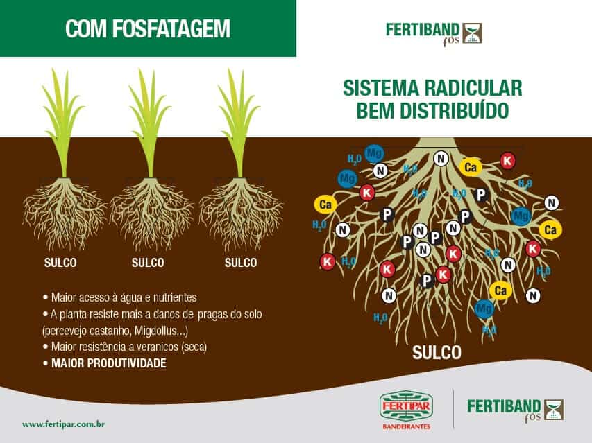fosfatagem