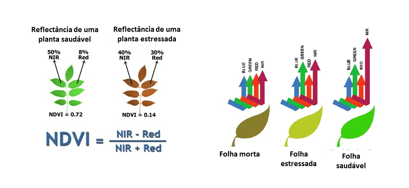 8-NDRE-gráficos-explicação
