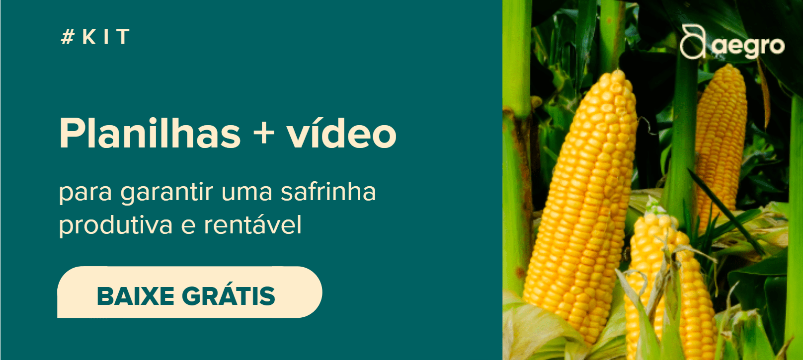 Banner de chamada para baixar o kit safrinha