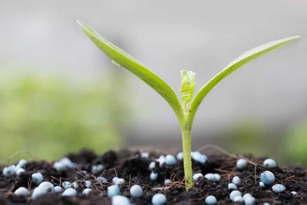fertilizantes para plantas