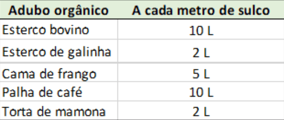 Qual é a previsão do preço do café para 2024? - Blog da Aegro