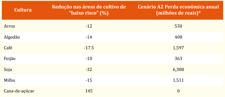 Relação entre clima e vegetação no Brasil - Planos de aula - 7°ano