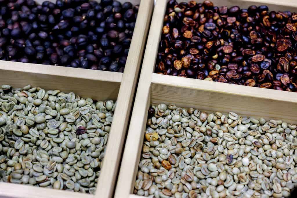 produção de cafés especiais