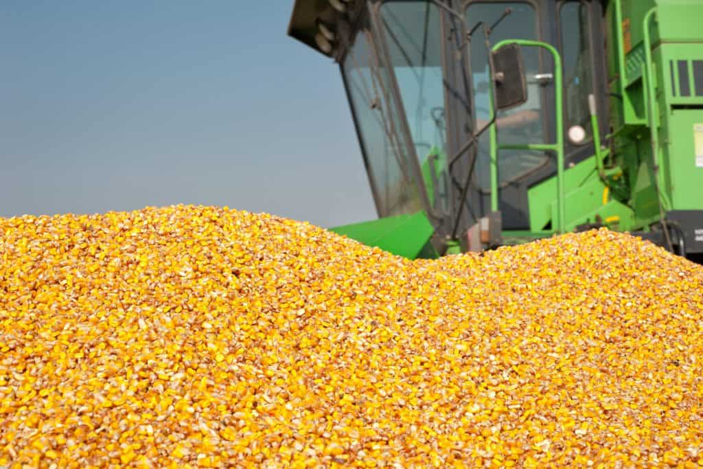 aumento da produtividade rural