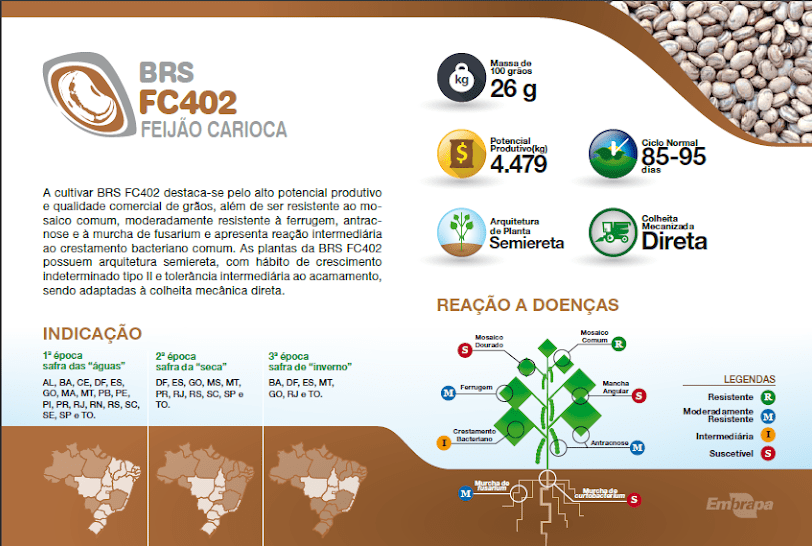 Descrição das características de cultivar de feijão indicando a aptidão para cada tipo de colheita