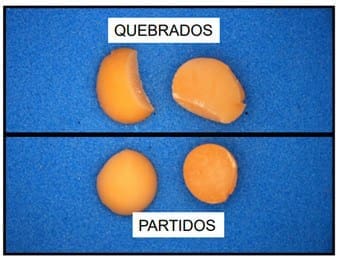 Grãos avariados determinam a qualidade e o uso da soja