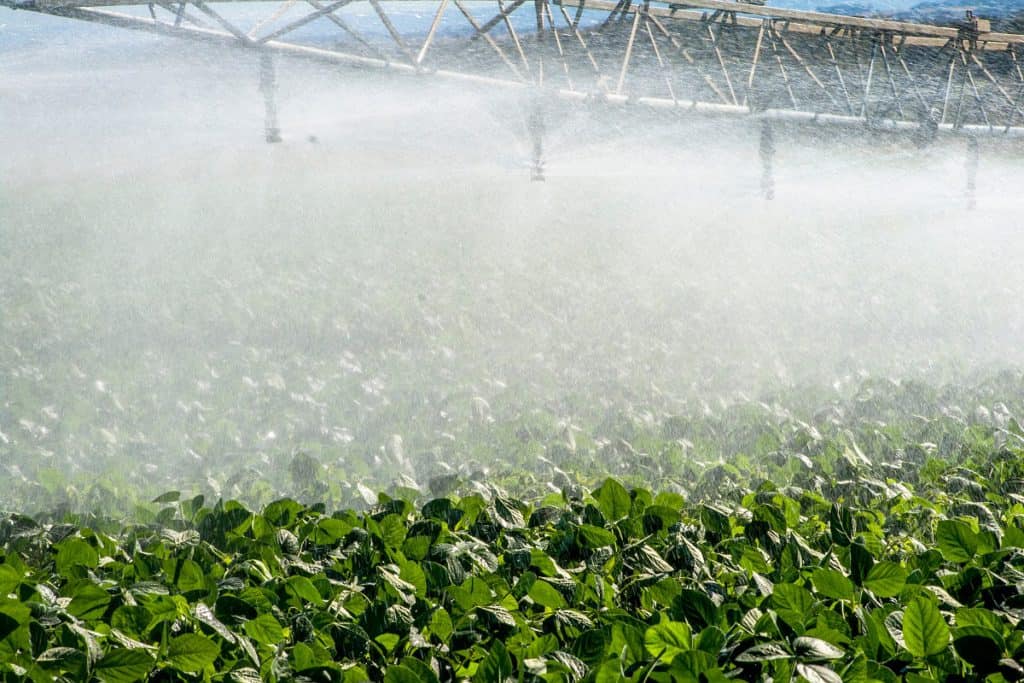 tipos de irrigação na agricultura