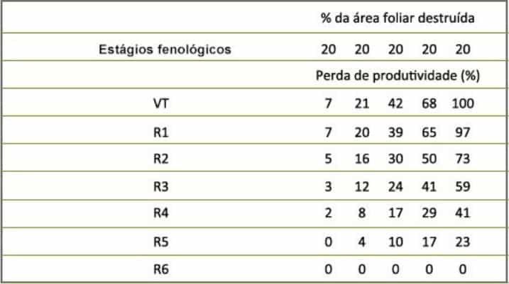 Estimativa de perda de produtividade em relação a desfolha e estágios fenológicos do milho