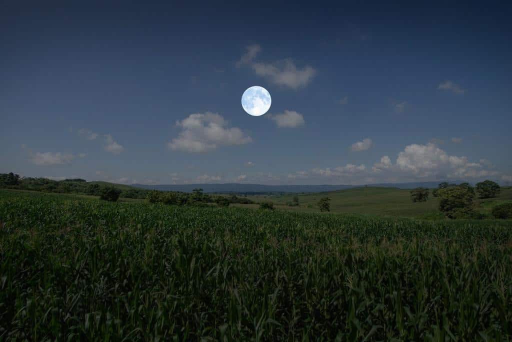 a imagem mostra uma lavoura à noite, e uma lua cheia no centro