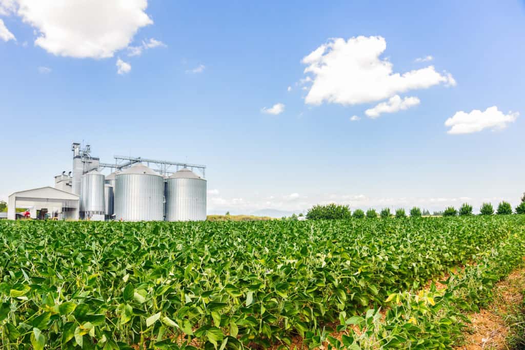 Propriedade rural com silo no fundo, e plantação de soja na frente