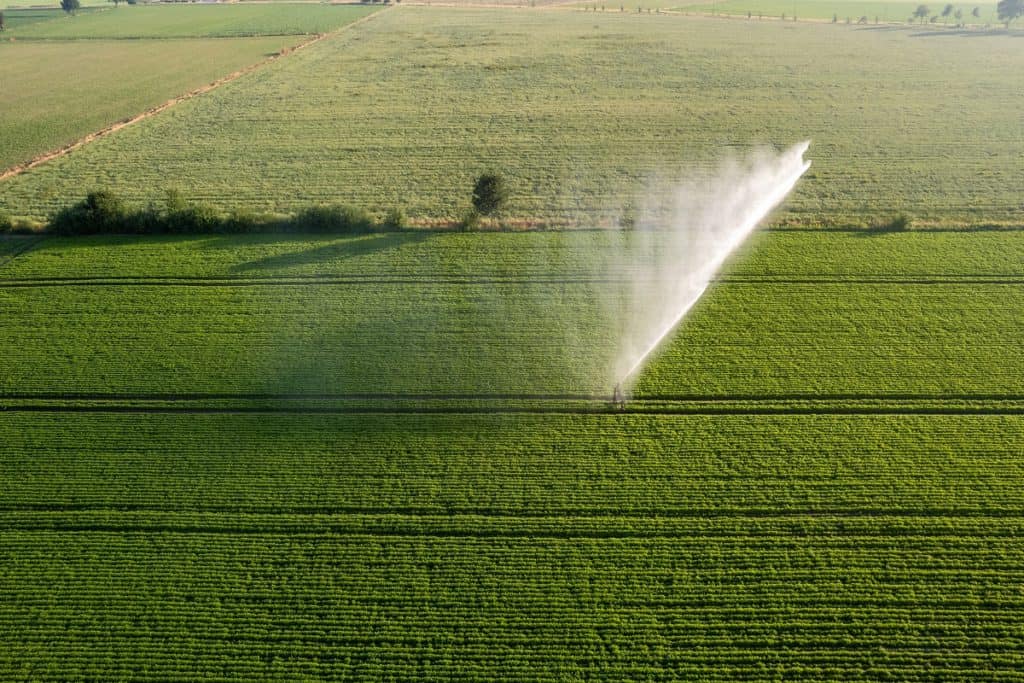 Foto de lavoura durante irrigação