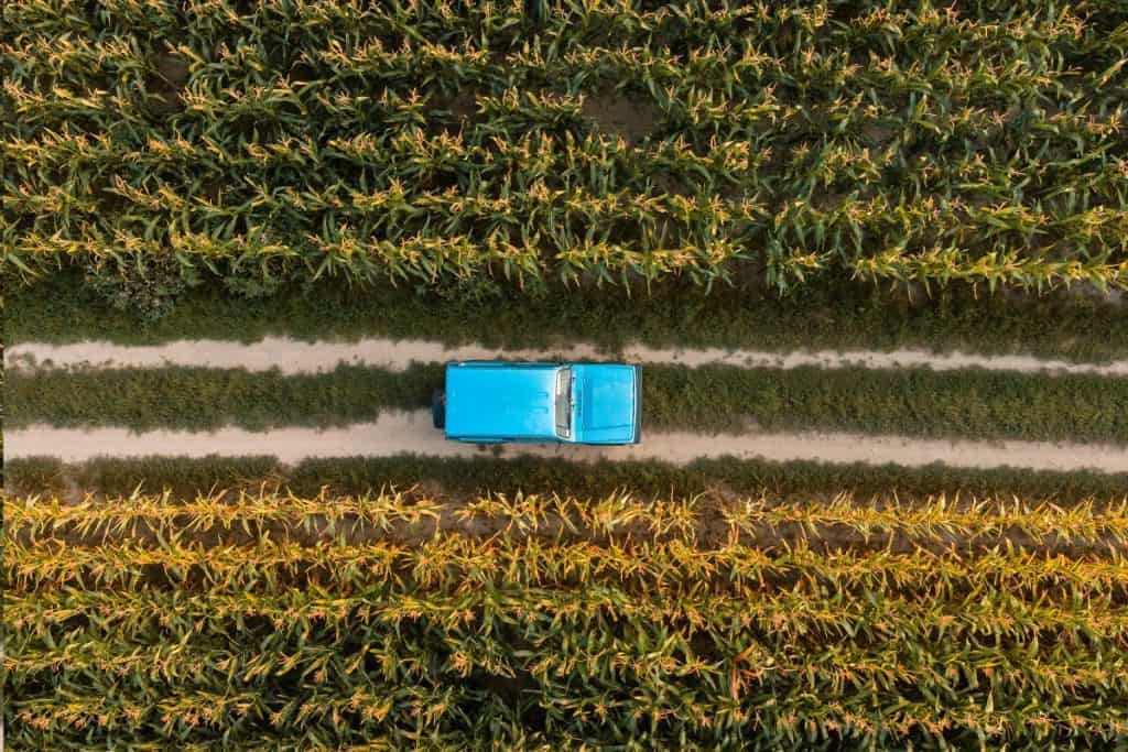 Foto de veículo em lavoura de milho