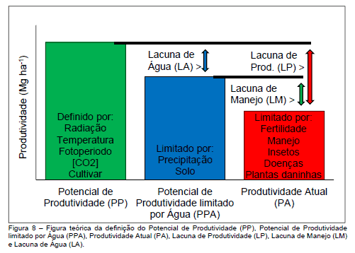 Distribuição do tamanho de agregados estáveis em água (menor que 8