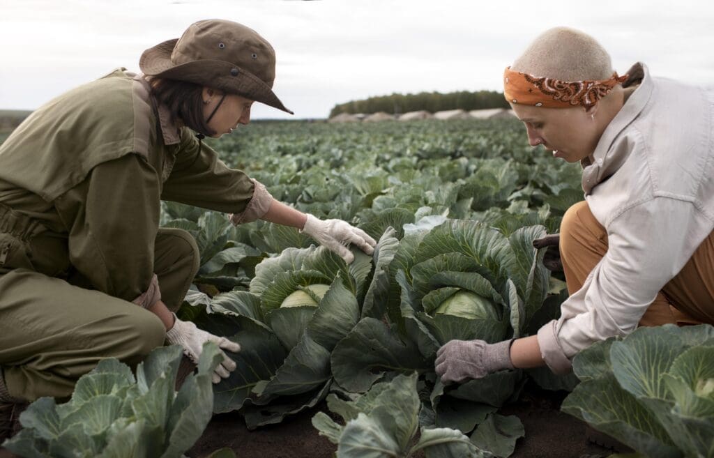 Duas mulheres cuidando da lavoura representando a agricultura familiar