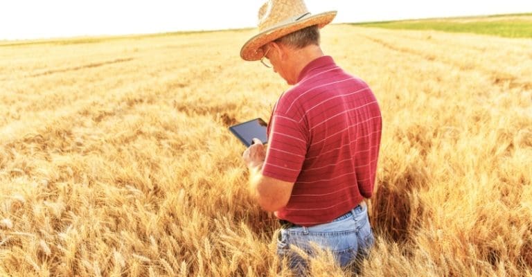 Produtor rural, em maio a sua lavoura, conferindo o preenchimento da nota fiscal produtor rural