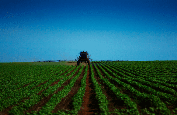 Máquina agrícola em um campo de cultivo, com linhas de plantas bem formadas, destacando práticas agrícolas e manejo eficiente.