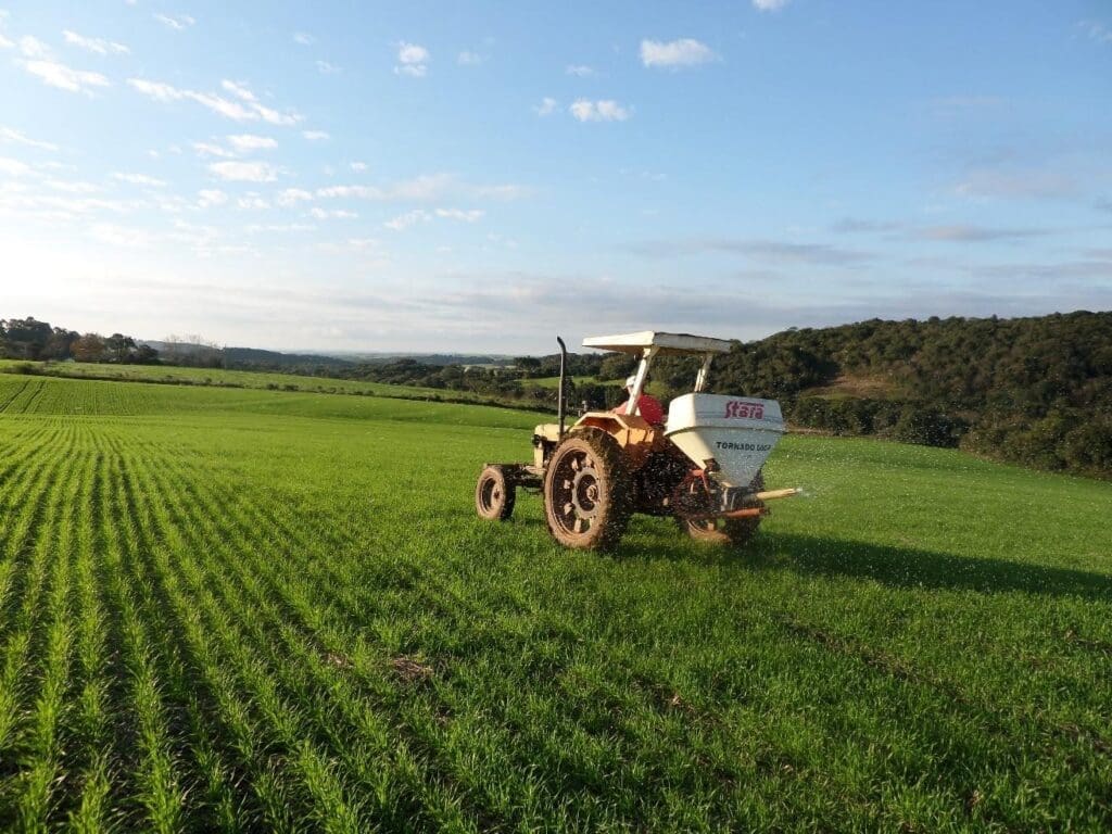 Trator realizando a adubação do trigo em uma lavoura verde, sob céu parcialmente nublado, em região de clima tropical com relevo levemente ondulado.